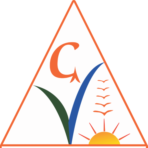 Vidya Group logo